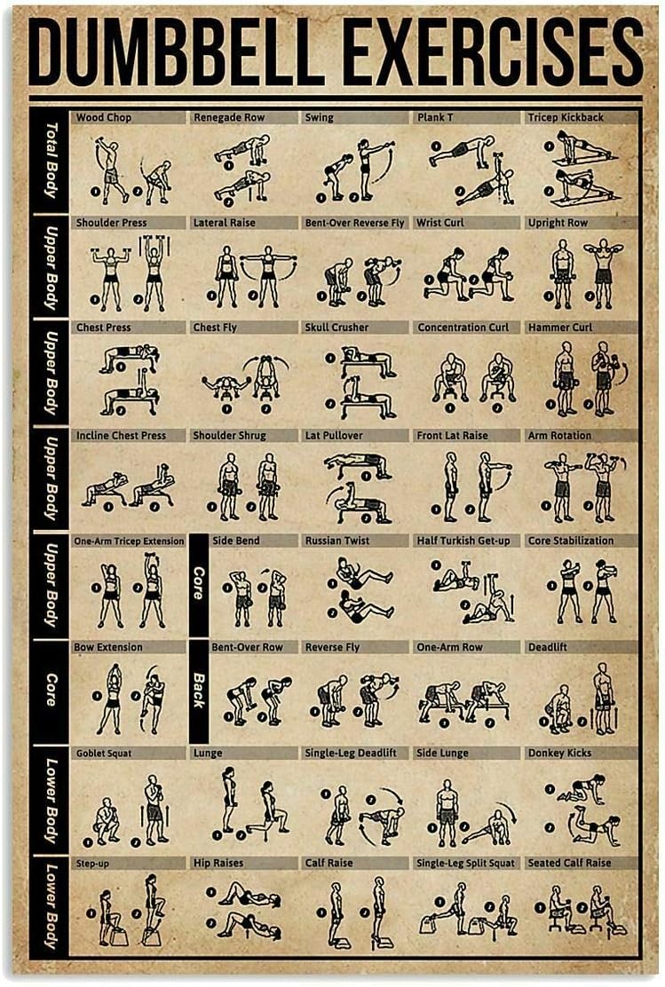 JIUFOTK Dumbbell Exercises Pos - Sports Equipment Poster ulasan dan harga
