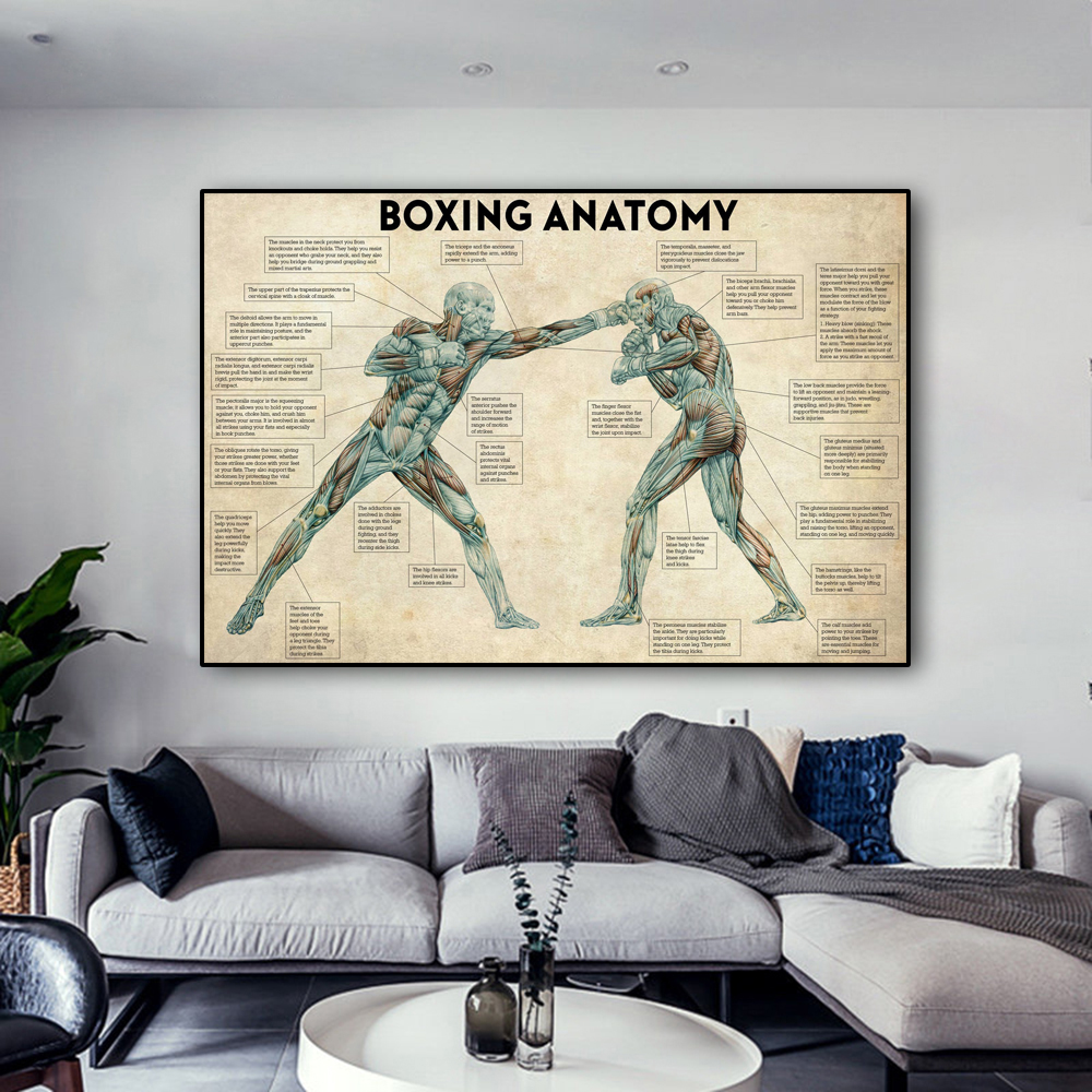 Vintage Boxing Body Anatomy Po - Sports Equipment Poster ulasan dan harga