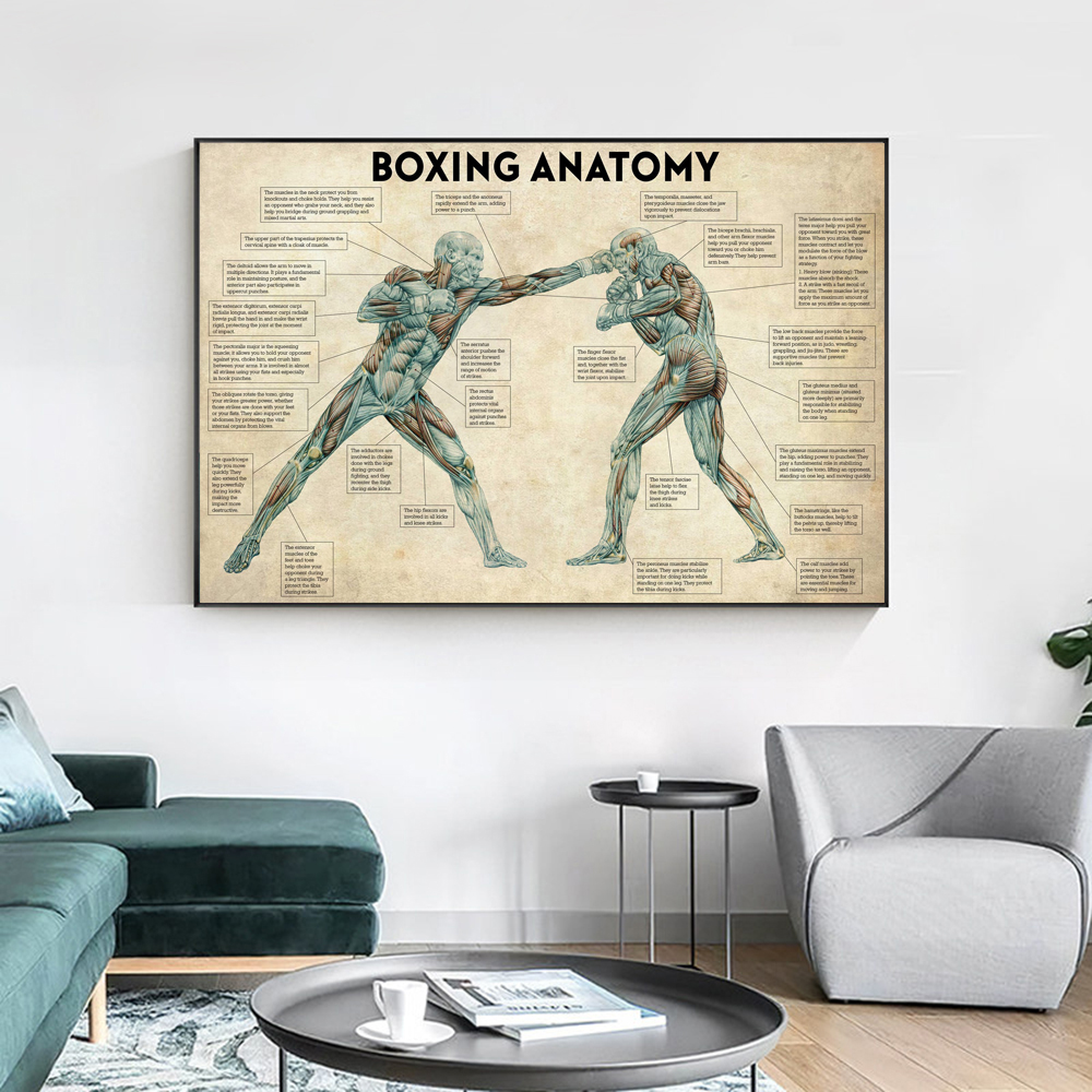 Vintage Boxing Body Anatomy Po - Sports Equipment Poster ulasan dan harga