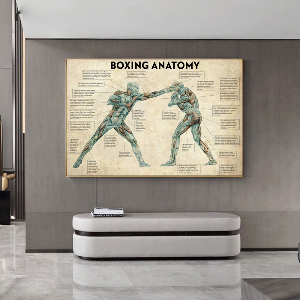 Vintage Boxing Body Anatomy Po - Sports Equipment Poster ulasan dan harga